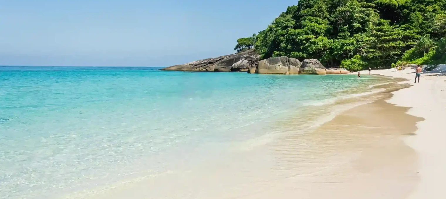 Serene beach scene in Phuket, featuring clear turquoise waters and lush greenery.