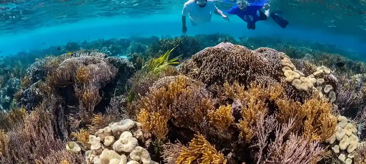 Два человека в масках для сноркелинга исследуют коралловый риф в Пхукете.