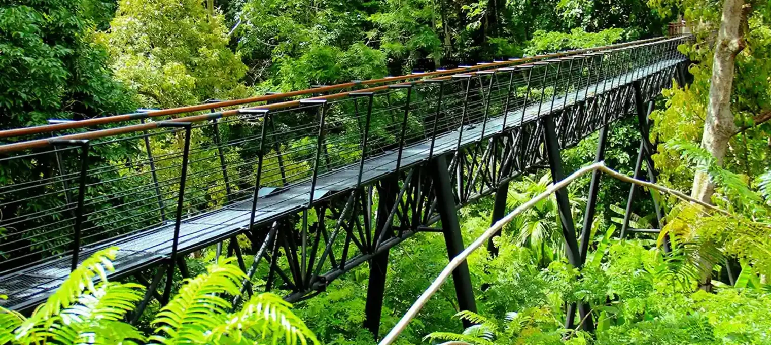 Suspension bridge surrounded by lush greenery in Phuket, Thailand.