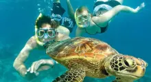 Snorkelers exploring underwater with a green sea turtle in Phuket, Thailand.