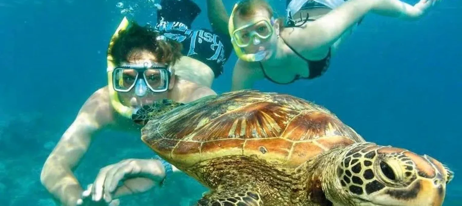 Snorkelers exploring underwater with a green sea turtle in Phuket, Thailand.