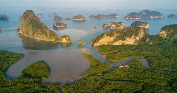 Aerial view of Phang Nga Bay in Phuket, featuring limestone cliffs and lush mangroves.