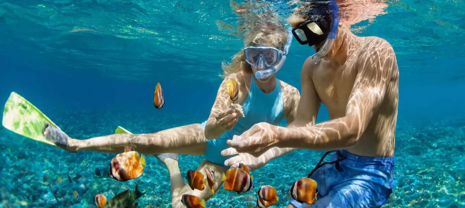 Two divers exploring colorful fish underwater in Phuket, enjoying a vibrant marine environment.