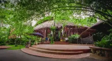 Tropical bamboo restaurant surrounded by lush greenery in Phuket, Thailand.