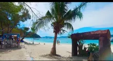 Scenic beach view in Phuket with palm trees and turquoise water. Relaxing atmosphere.