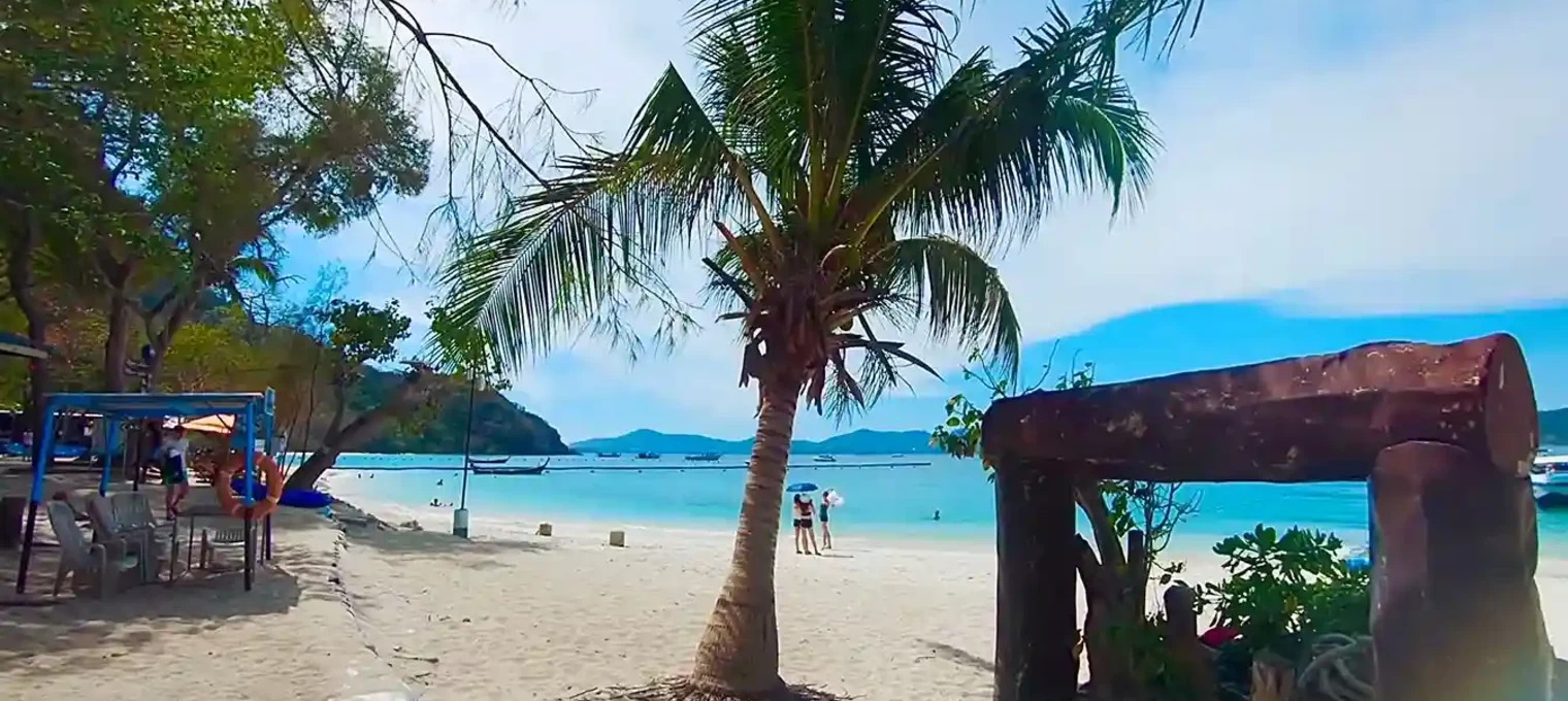 Scenic beach view in Phuket with palm trees and turquoise water. Relaxing atmosphere.