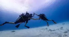 Three divers in snorkeling gear explore the underwater scenery in Phuket's clear waters.