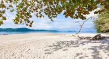 Serene beach in Phuket with sandy shore, calm waters, and lush green trees.