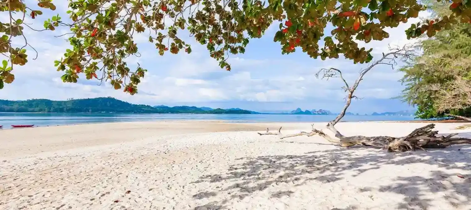 Serene beach in Phuket with sandy shore, calm waters, and lush green trees.