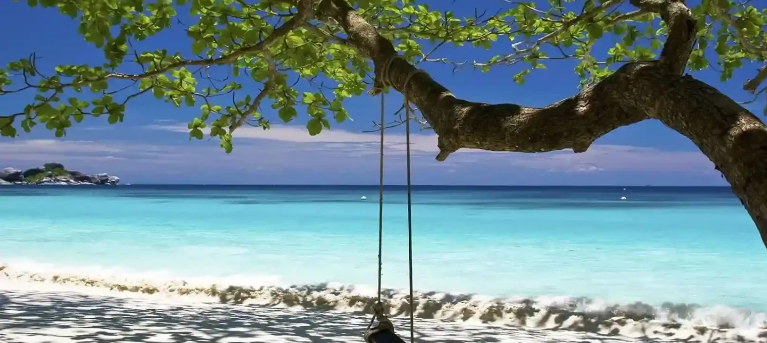 A serene beach in Phuket, featuring a swing hanging from a tree by turquoise waters.