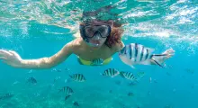 A woman snorkeling underwater surrounded by colorful fish in Phuket's clear waters.