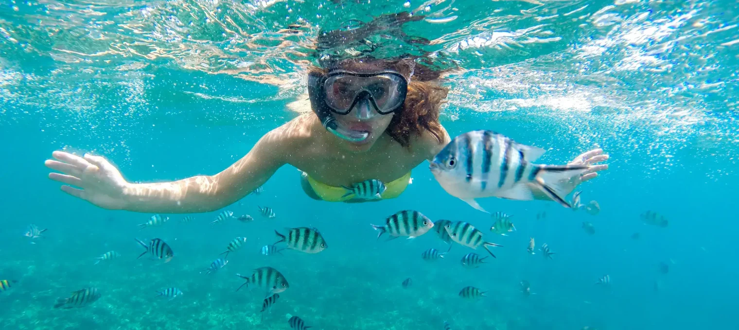 A woman snorkeling underwater surrounded by colorful fish in Phuket's clear waters.