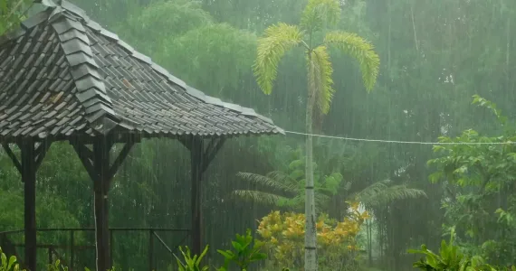 Rain pours over a serene garden gazebo in Phuket, surrounded by lush greenery.